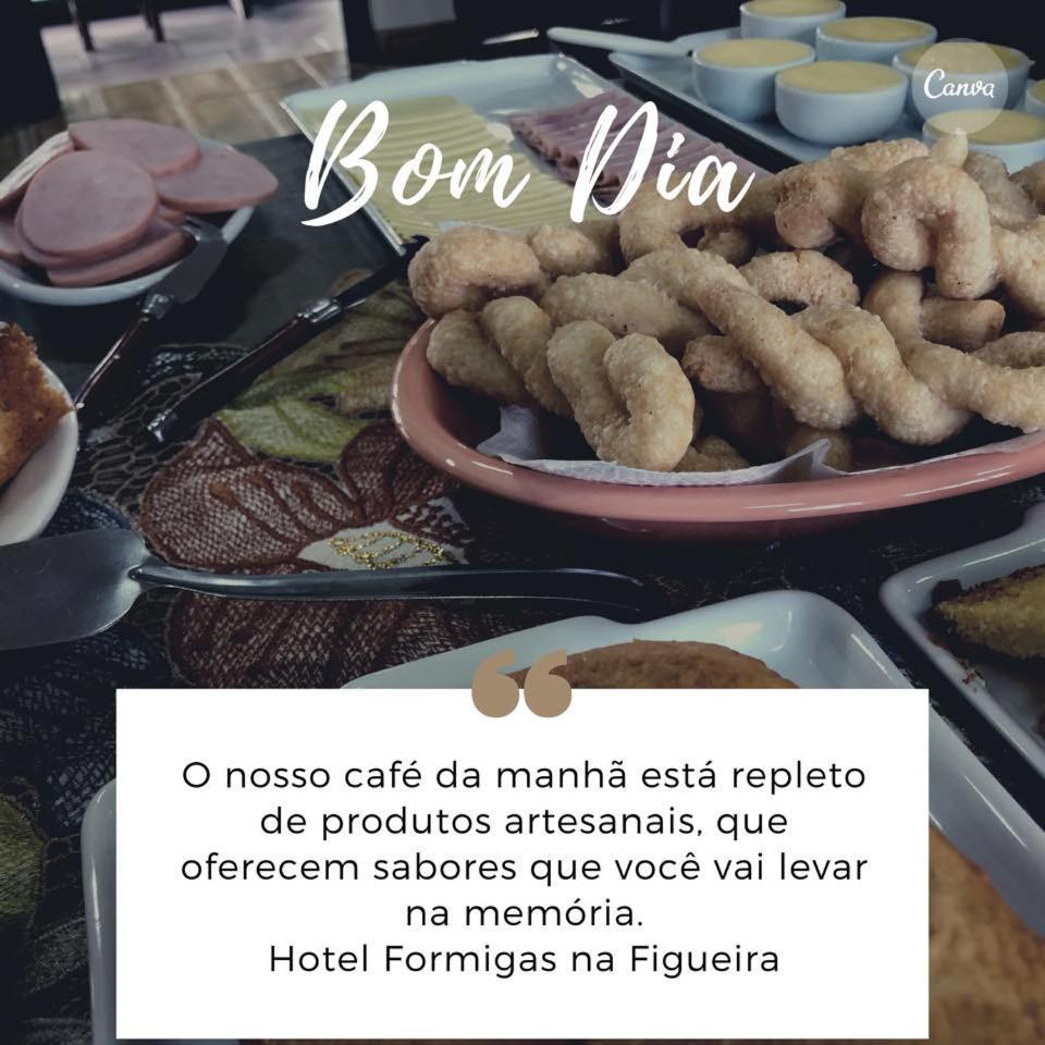 Hotel Formigas Na Figueira Tibagi Ngoại thất bức ảnh